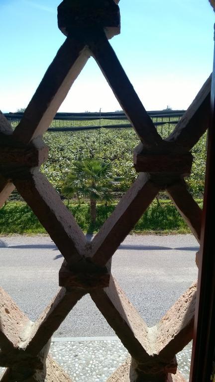 Agriturismo Sant'Egidio Aquiléia Eksteriør billede